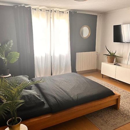 Guibert Home - Studio 2 Personnes Вильнёв-ле-Руа Экстерьер фото